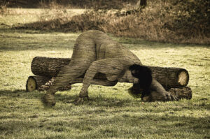 2021-Frühjahrsmüdigkeit